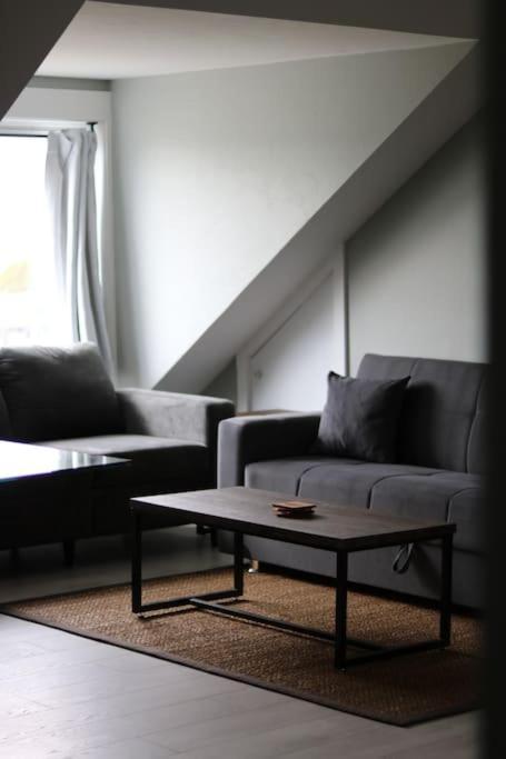 Unique Modern Luxury 2 Bedroom Apartment Rental Chapleau Экстерьер фото